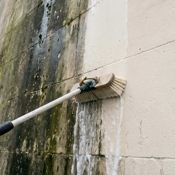 Façade Cleaning