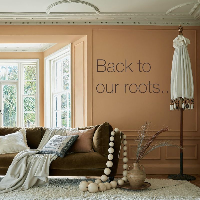 Earthborn Claypaint